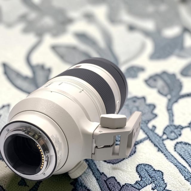FE 100-400mm F4.5-5.6 GM OSS SEL100400GM