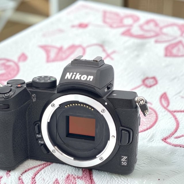 Z50 ボディ