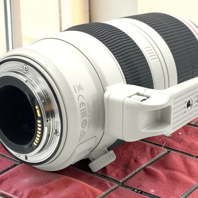 EF 100-400mm F4.5-5.6L IS II USM