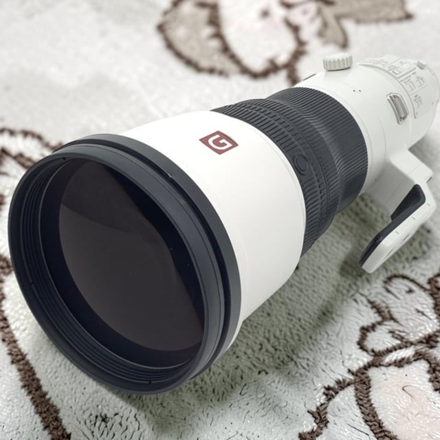 FE 600mm F4 GM OSS SEL600F40GM