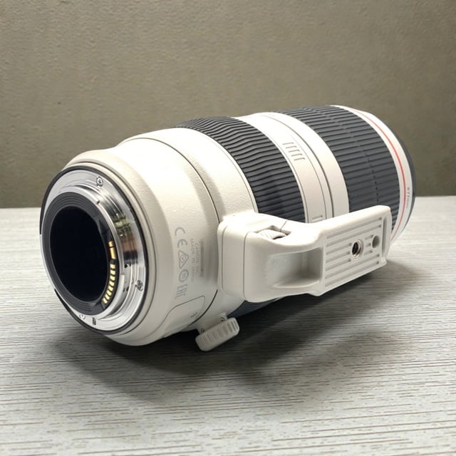 EF 100-400mm F4.5-5.6L IS II USM