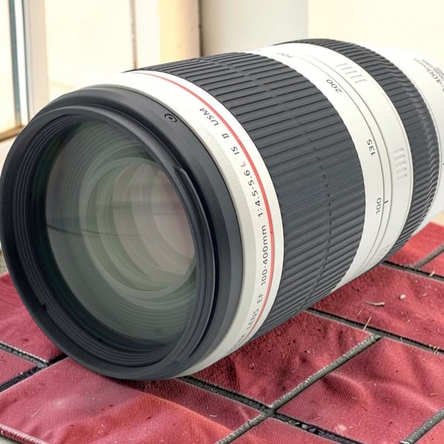 EF 100-400mm F4.5-5.6L IS II USM