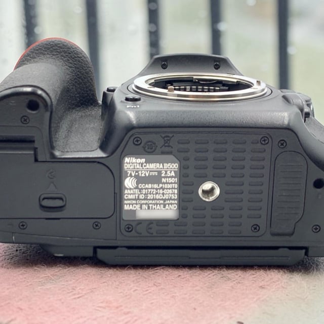D500 ボディ