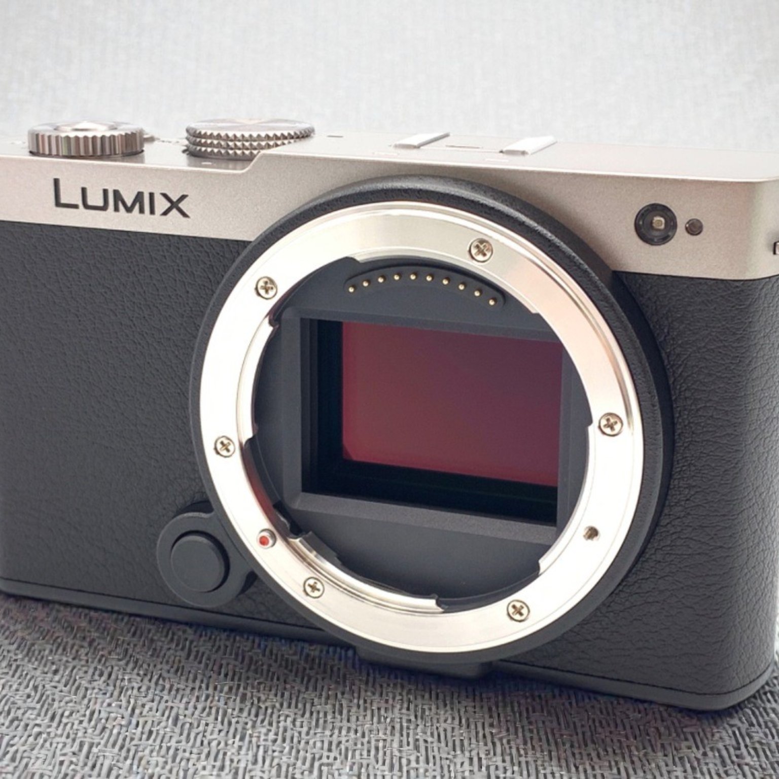 LUMIX S9(DC-S9) ボディ 