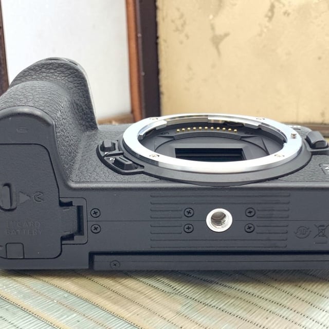 Z30 ボディ