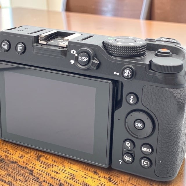 Z30 ボディ