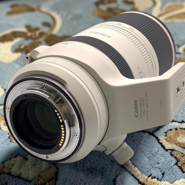 RF 100-500mm F4.5-7.1 L IS USM