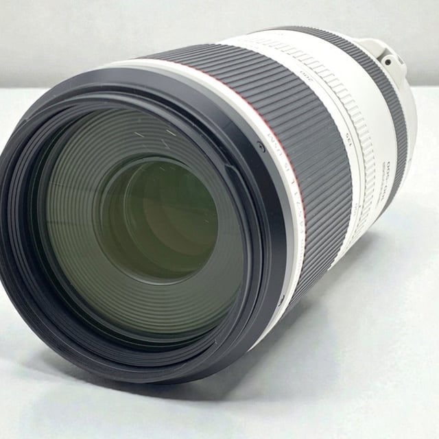 RF 100-500mm F4.5-7.1 L IS USM