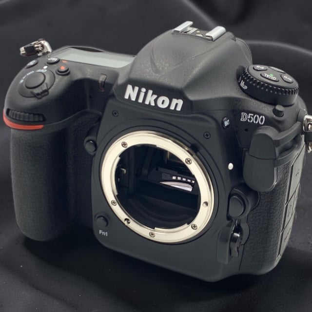 D500 ボディ