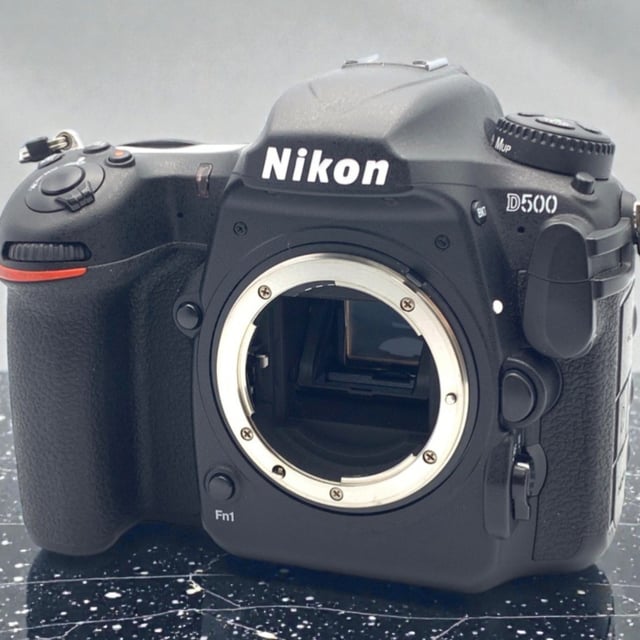 D500 ボディ