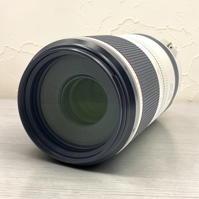 RF 100-500mm F4.5-7.1 L IS USM
