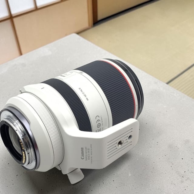 RF 70-200mm F2.8 L IS USM