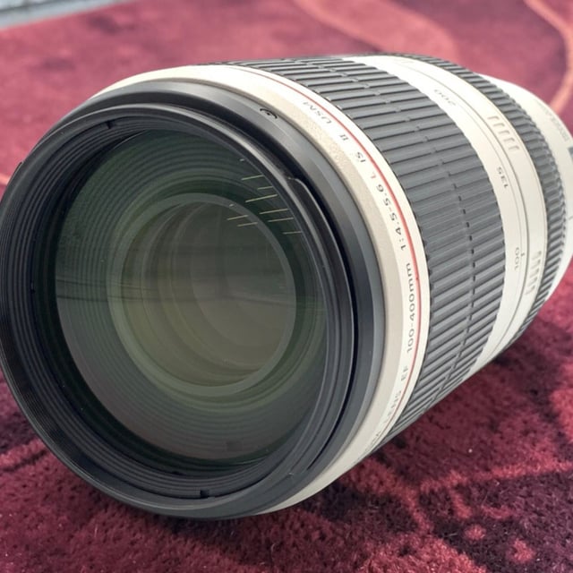 EF 100-400mm F4.5-5.6L IS II USM