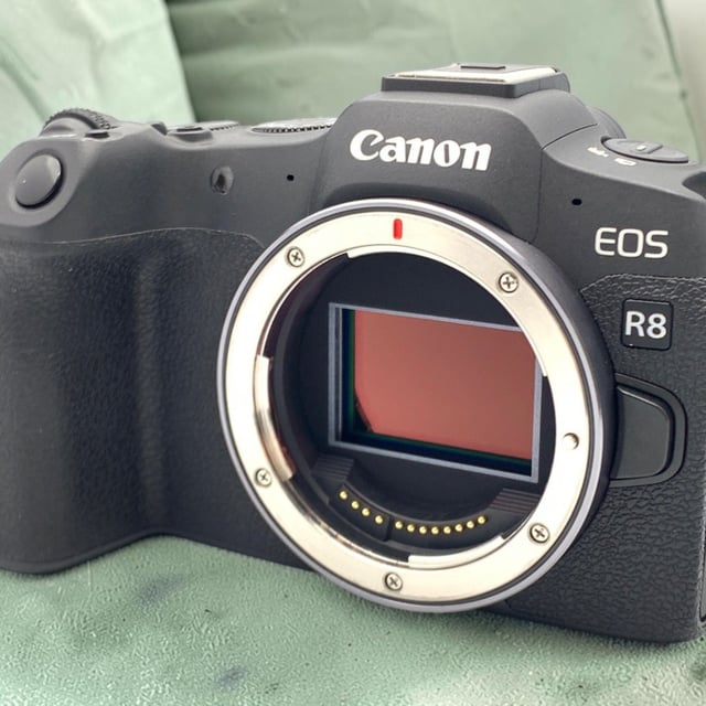 EOS R8 ボディ