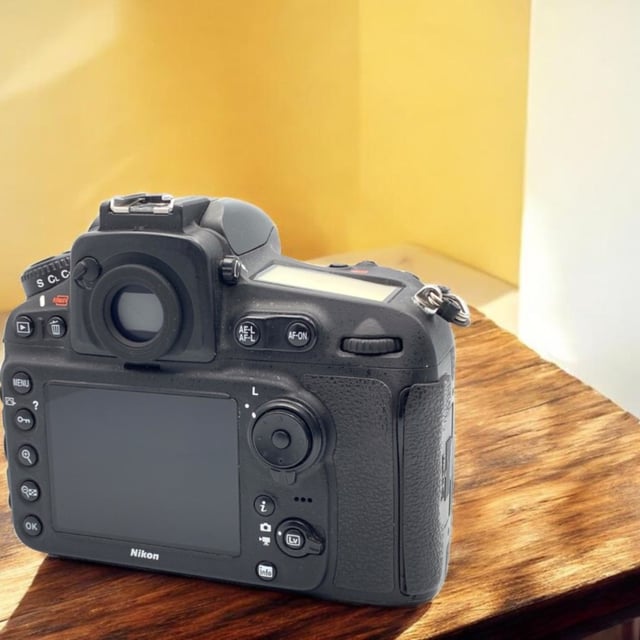 D810 ボディ