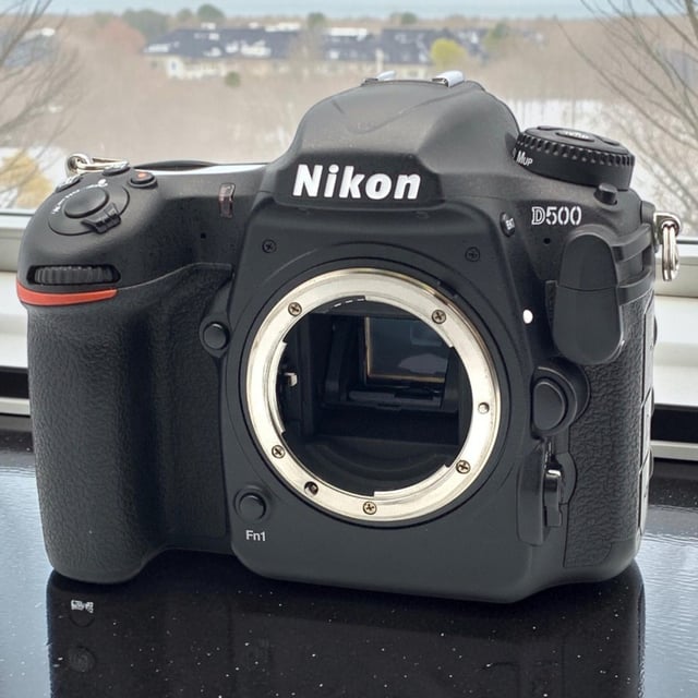 D500 ボディ