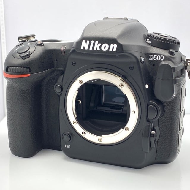 D500 ボディ