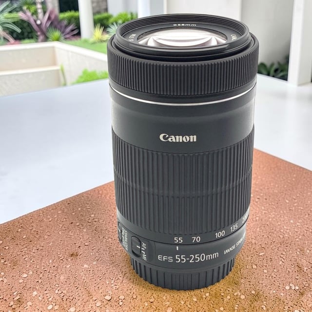 EF-S55-250mm F4-5.6 IS STM