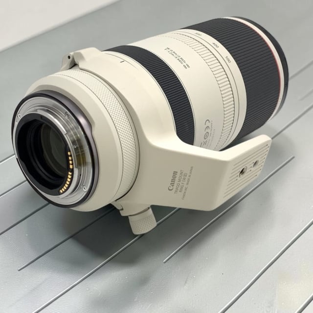 RF 100-500mm F4.5-7.1 L IS USM