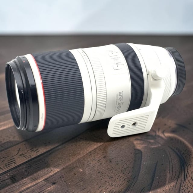 RF 100-500mm F4.5-7.1 L IS USM