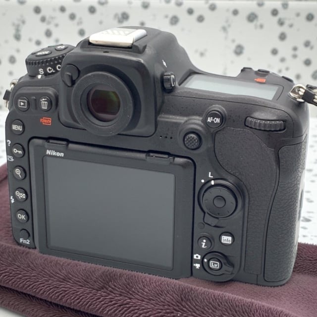 D500 ボディ