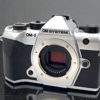 OM-5 Mark II ボディ "シルバー"