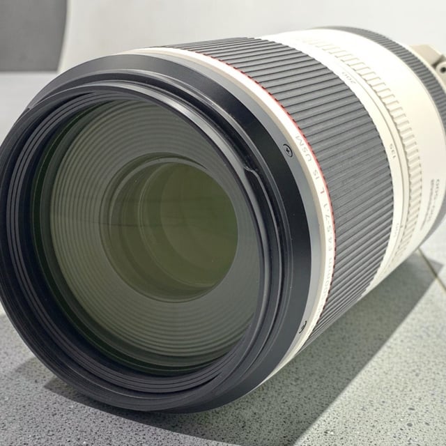 RF 100-500mm F4.5-7.1 L IS USM