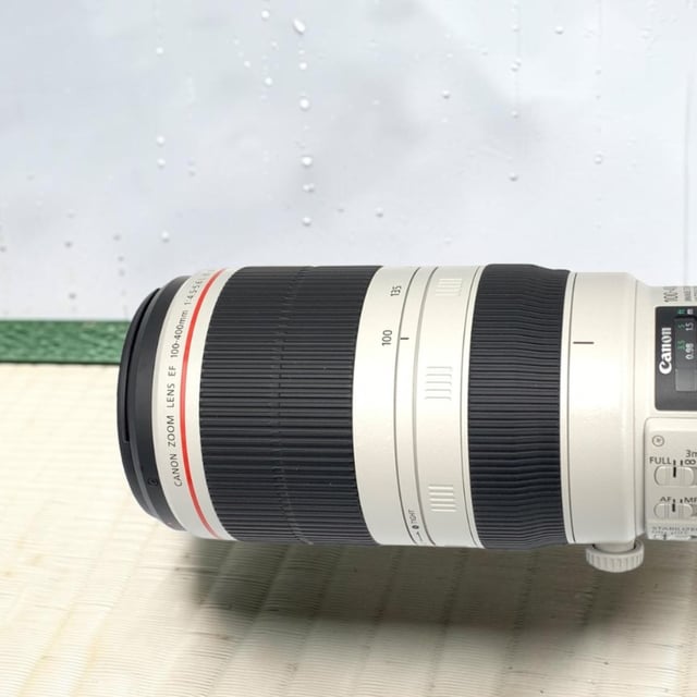 EF 100-400mm F4.5-5.6L IS II USM