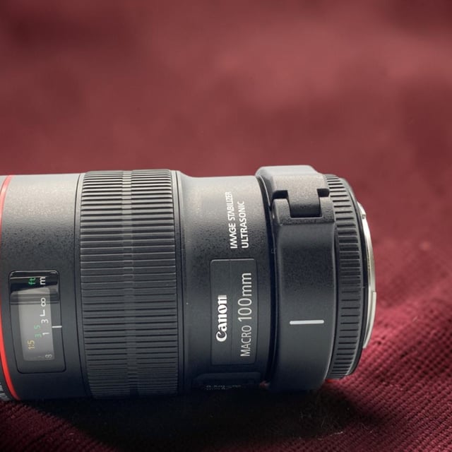 EF 100mm F2.8L マクロ IS USM