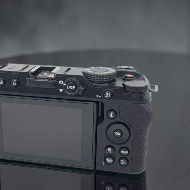 Z30 ボディ