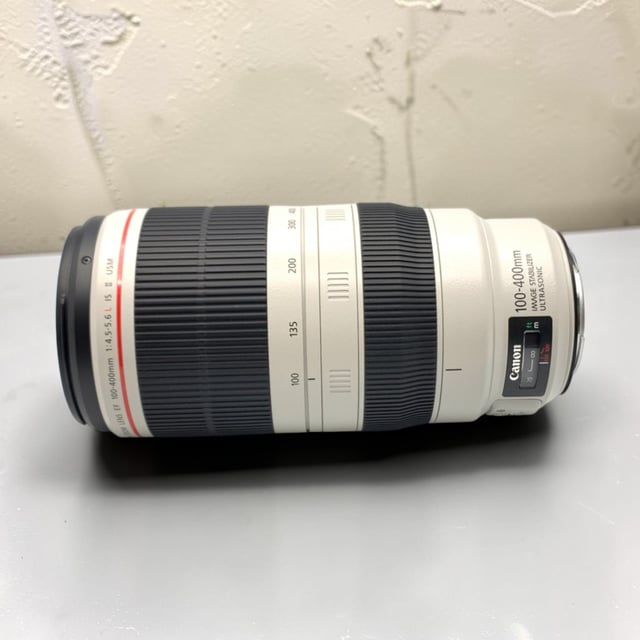 EF 100-400mm F4.5-5.6L IS II USM