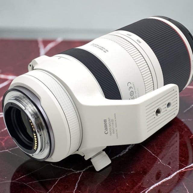 RF 100-500mm F4.5-7.1 L IS USM