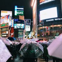 ユーザーアイコン