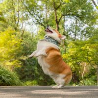 ユーザーアイコン