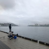 ユーザーアイコン