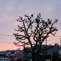 ユーザーアイコン