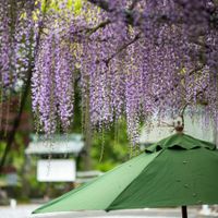 ユーザーアイコン