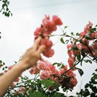 ユーザーアイコン