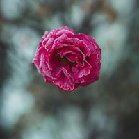 ユーザーアイコン