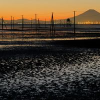 ユーザーアイコン