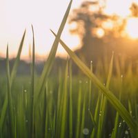 ユーザーアイコン