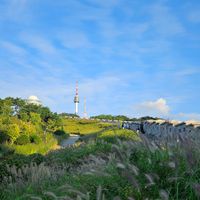 ユーザーアイコン