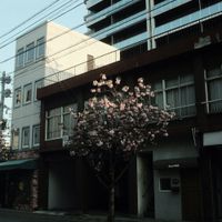 ユーザーアイコン