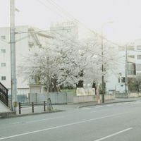 ユーザーアイコン