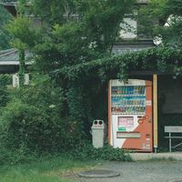 ユーザーアイコン