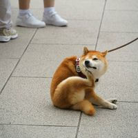 ユーザーアイコン