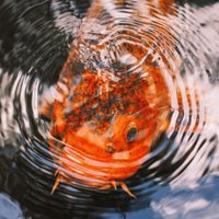 ユーザーアイコン