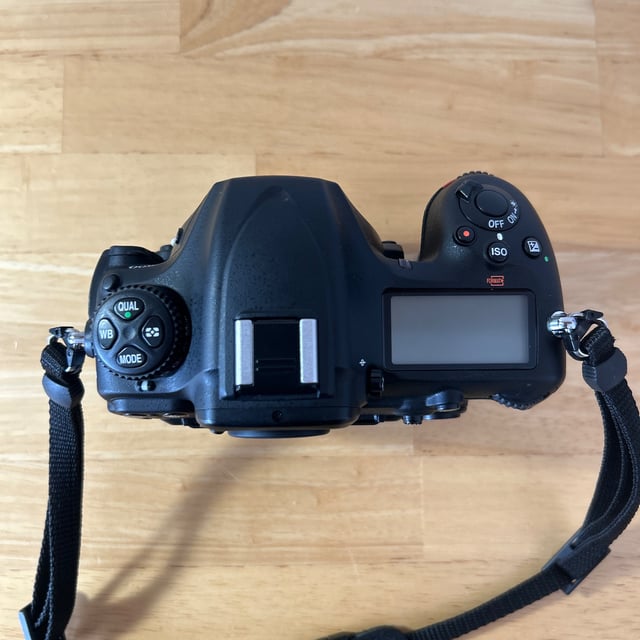 D500 ボディ