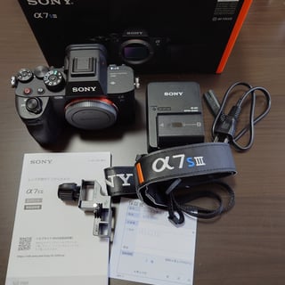 α7S III ILCE-7SM3 ボディ