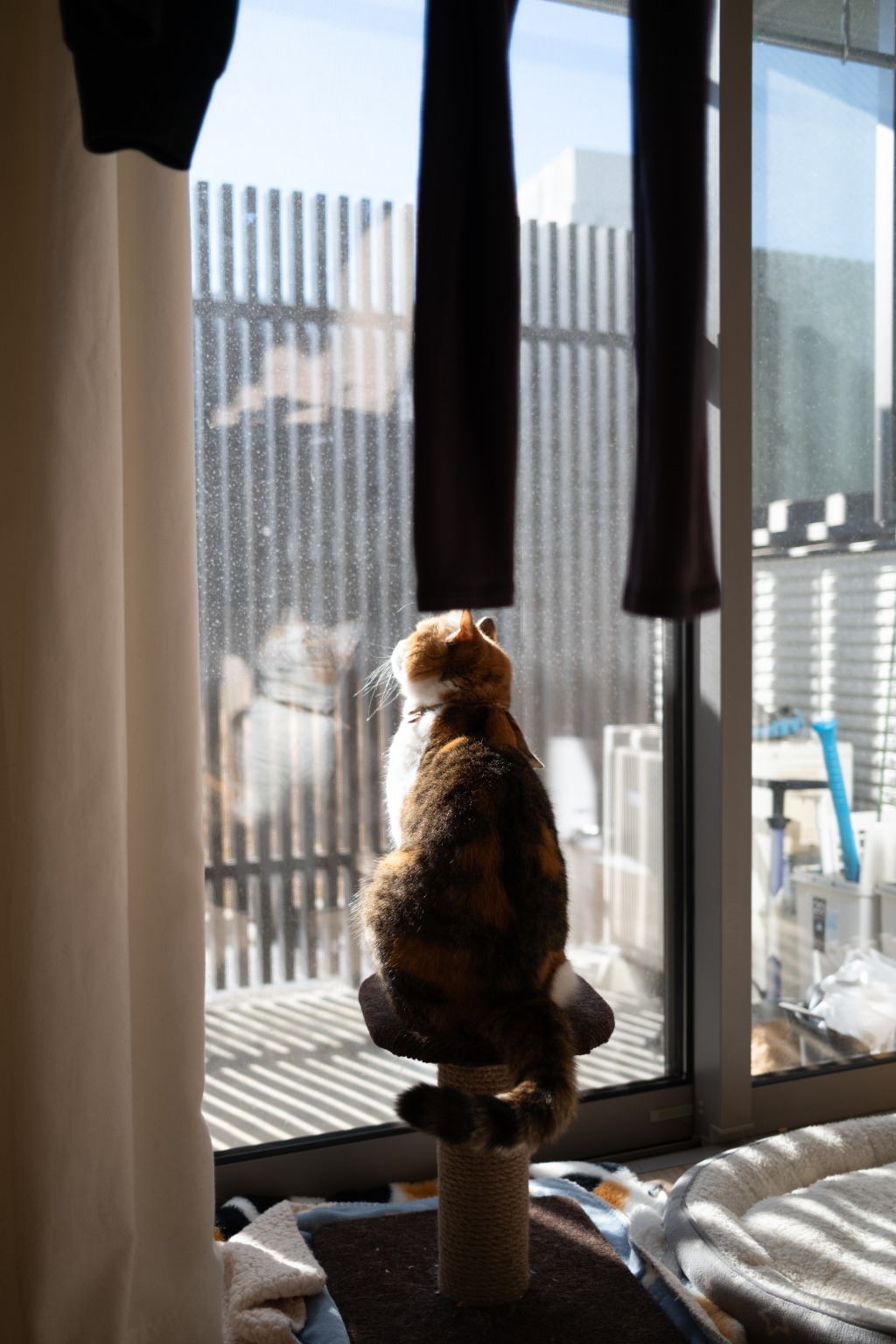 メイン投稿画像